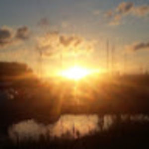 Meet your Posher, Cat